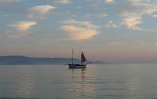 The Vagabond Family traveling New Zealand in a house bus to raise awareness and money for Prader-Willi Syndrome